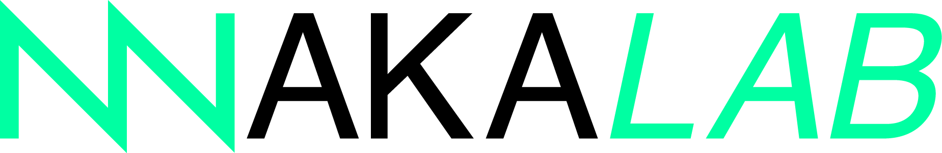 N-NAKA Lab